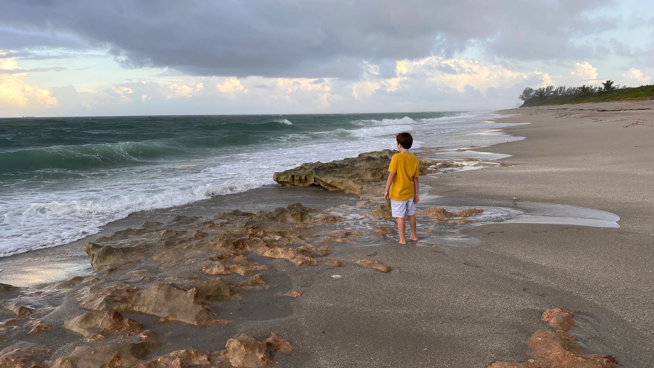Alexander's son on Juno Beach